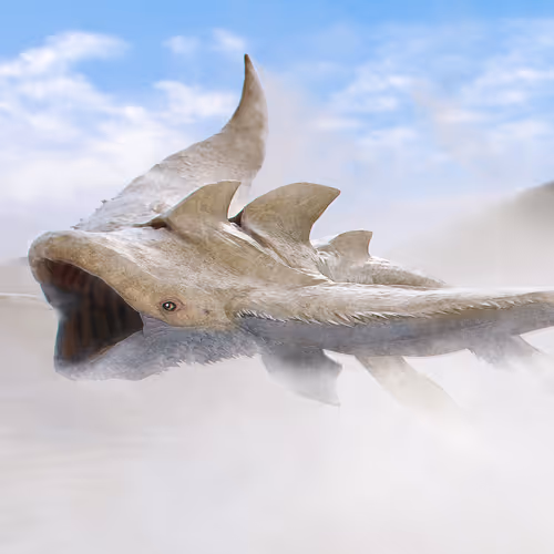 Item #64820935923896147261894658532669847997964443952729136811082819430565204197381 Media