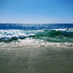 Venice Beach