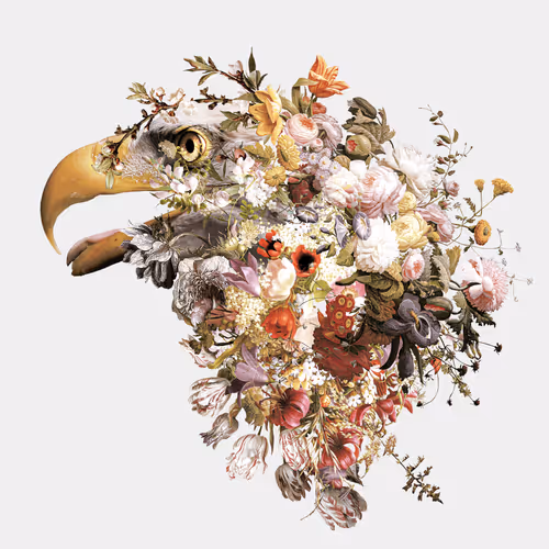 Item #26933090564671490724955718680642040382525628384000115065717975237261564837889 Media