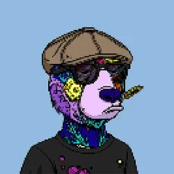 Okay Bears Pixel 56