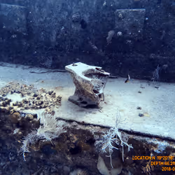 80965803268169370603932631570667161375508893671094224909166964038051993485313