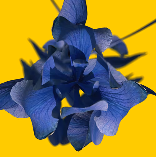 Item #99605949350645567076444904114234746954579032431226073218133142403046537428993 Media