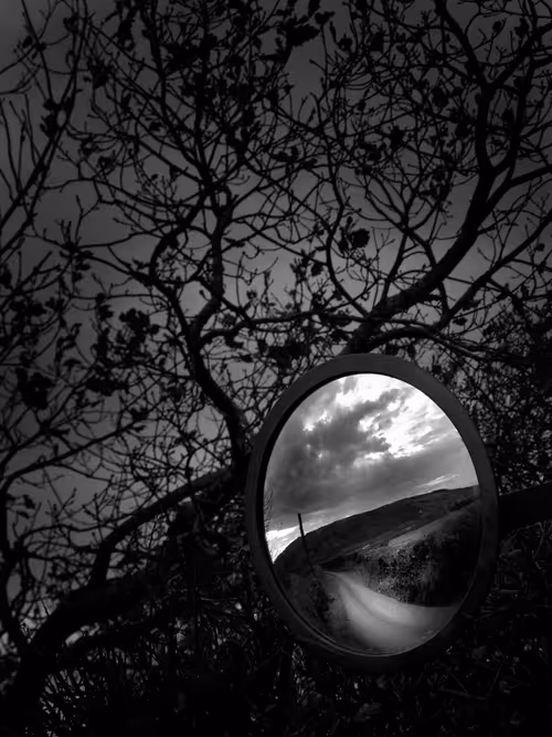 Item #40160686583094733528677484039903516258611509642019211679321071637590095953921 Media