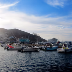 Catalina Sailing Mixer #10