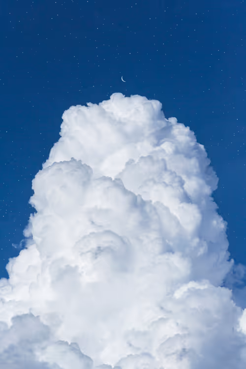 Item #9516099056367242152996622501750151802451978225621664057436231436862748622849 Media