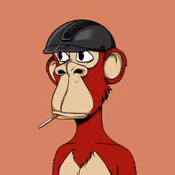 18379061061191690310079143724728445374724544562498622373912793498941581688833