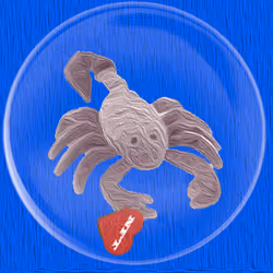 41776025324002017952572422073316458441069080831023694546850786708783106097153