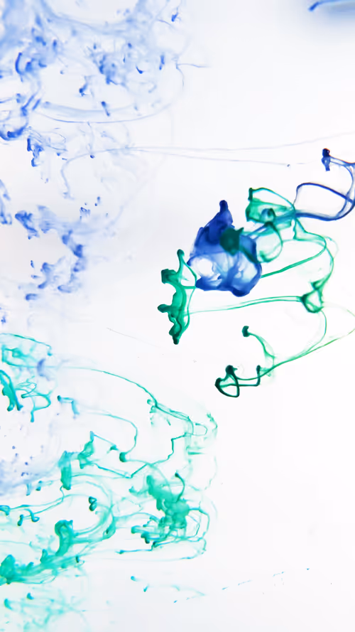 Item #31305712980941030161867633175304117506253559023819364015858336198615510286337 Media