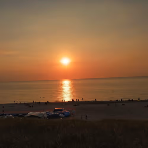 Untitled Collection #109028565