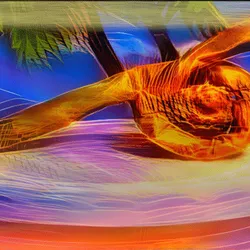14322273799958789185182375774783071825712436952149540085859663101863844118529