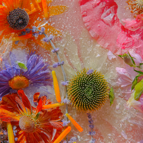 Item #80829721372825377784010953381890255518558028243098186913878117655296409075713 Media