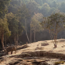 Elephant and Mahout.