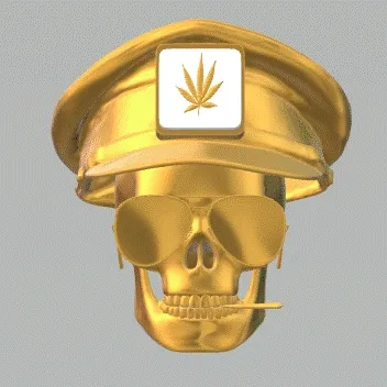 SKuLL GOLD STATUS C - 3D
