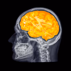 24230885534779484670501703553684953274983737514794072512407783980757071953921