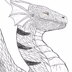 sea Horse Dragon Sketch