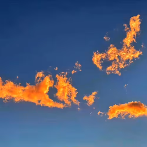 Untitled Collection #53859522