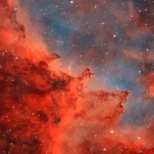 Cosmos005