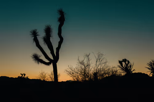 Item #73759399990209516888304032698275326364251253030870503334938121150422874849281 Media