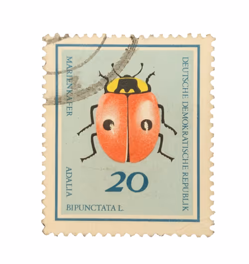 Item #73657231716097181370478076929276236332877121988757497801724203122422743826433 Media