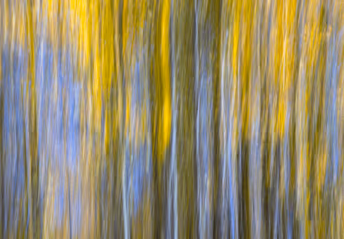 Landscapes and Seascapes