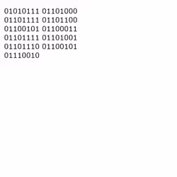 OnChainBinary #21