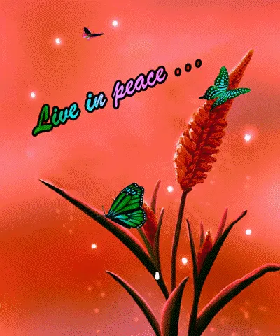 Item #70729836608453979500961524124175511851122340671922650182711656418619672231937 Media