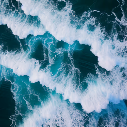 Item #96886935191127696535410464763981420974710720239925028244005017684149457125377 Media