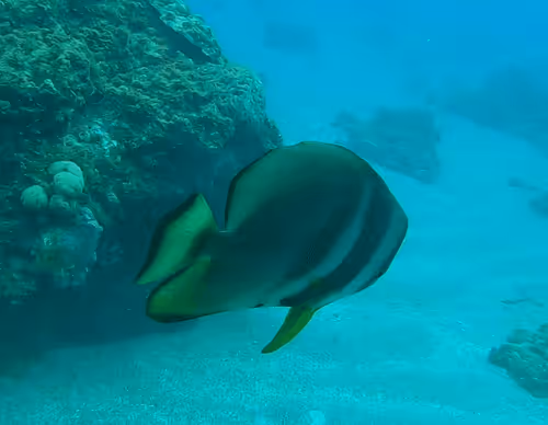 Untitled Collection #470940105