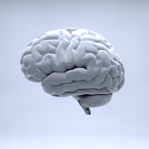 Item #77412820926303725204956055566925211190020908428863033075197849070886956564481 Media