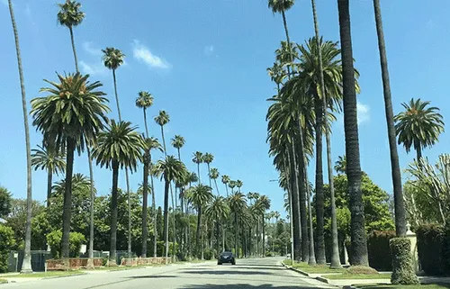 Item #59132355562186324700850821844442436394047262304885251221794294024900152655873 Media