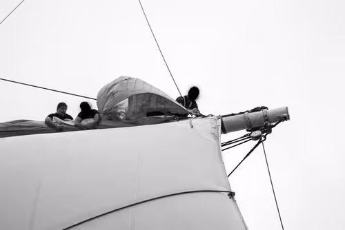 Item #34110083671509346653453586160941404072216291014688644284046702341703675674625 Media