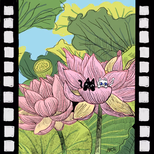 Travelng cats.Lotus