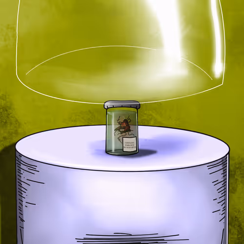 Item #24676067168319247841047234120788951702981957427274227053484940232042385244161 Media