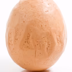 Dragon Egg