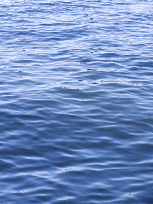 Item #91652045796072726772203249160121619727973796758892285073914834450580550713345 Media