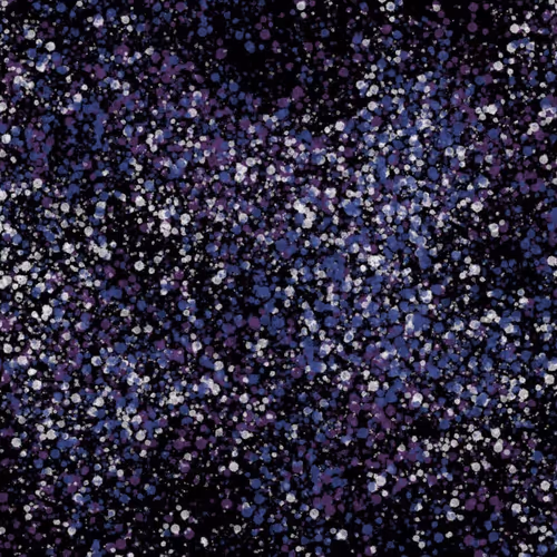 944858660688572096584618472555991747686703840338442188877309511500059115521