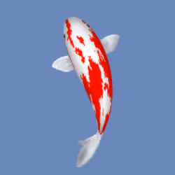 85890538515849146191794191908996501016024634704301377485849139295273623748609