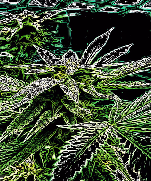 Item #19301864576683585495984092936121716989427215585305586530485858587291764654081 Media