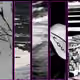 57160089788052849889359293334694915121648103361714375730036440659175566999553