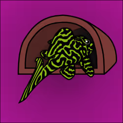 81664083123670143983968740139941474364733981378414170565535213214581460566017