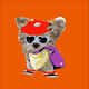 21607923784025543658024067331009769919395041958272689574271022484455807778817