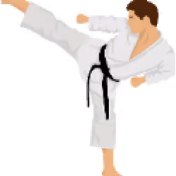 Karate Fighter 