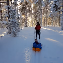 Heading for the light