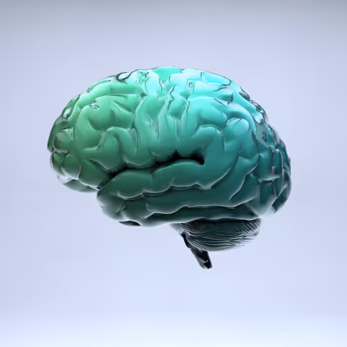 Item #77412820926303725204956055566925211190020908428863033075197849118165956558849 Media