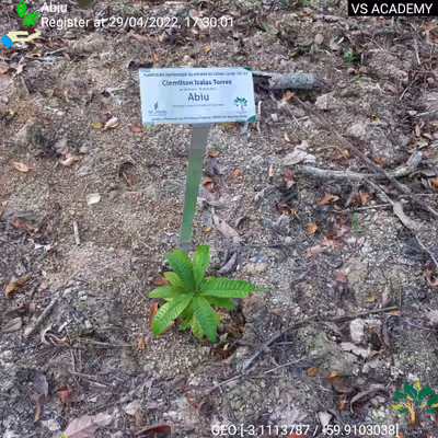 Item #8500196597889277390194123329501889087166328879864934763448348847905569767425 Media