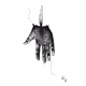 74274042170555578656485353317134783689503535456144867371825287945762256191489