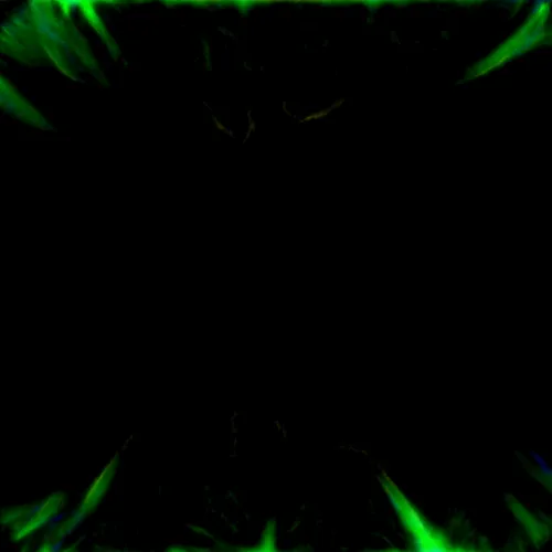 Item #51929734946411346289540790635765095060363125039145709683616697262910333779969 Media