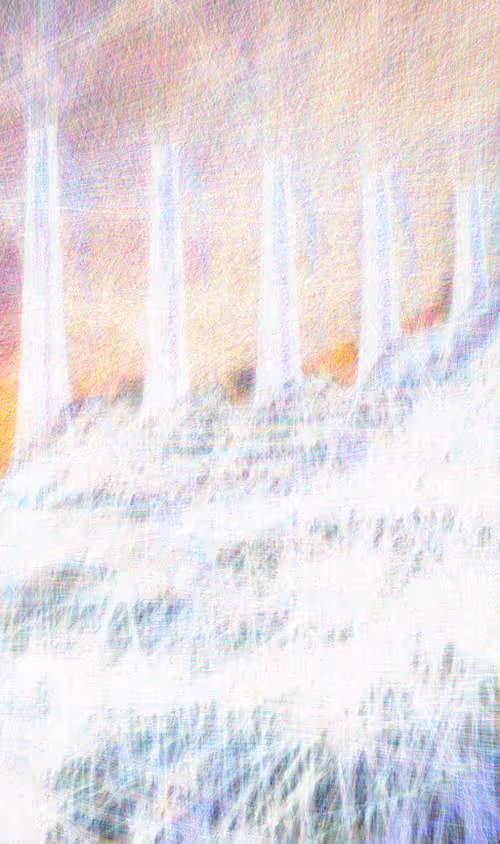 Item #42637134503210413736554040751793278975792637081874435392092566183316740374529 Media