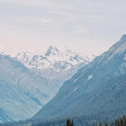 Grassland And Snow Mountain