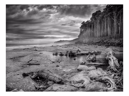 Item #113391420929209941219598099572508675076097289829558384042967582030662371115009 Media